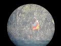 True life of a land surveyor......3