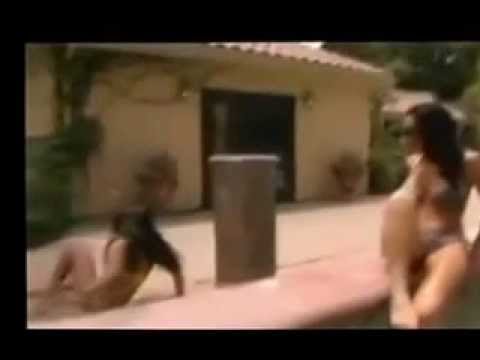 مواقف وطرائف سكس - شبعة ضحك - طرائف-مواقف مضحك شبعة ضحك - طرائف-مواقف مضحك شبعة ضحك - طرائف-مواقف مضحك RIRE- RIRE- RIRE- RIRE- RIRE شبعة ضحك - طرائف-مواقف مضحك شبعة ضحك -...