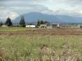 Dirt Biking