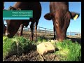 Fodder Solutions