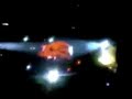 EL CHANCHO DE ROGER WATERS