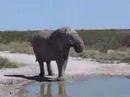 Southern Africa 2007