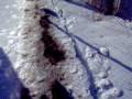 Caminhando na neve 1