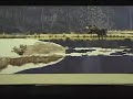 Speed Painting in Watercolors 