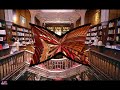 livraria lello  porto portugal 
