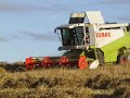 A Caithness Barley Harvest