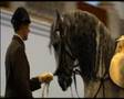 Spanish Riding School