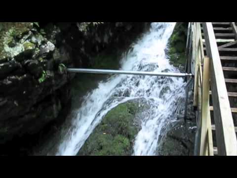 Regardez cette vidéo