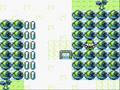 Pokémon Yellow: CRAZY OLD MAN!