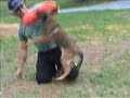 Puppy Training Mal Puppy Bite Work