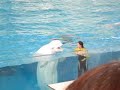 Aquario Yokohama banal