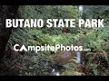 Butano State Park, California Campsite Photos - YouTube