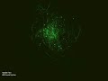 Video screenshot