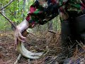 Deer rattling  East Texas