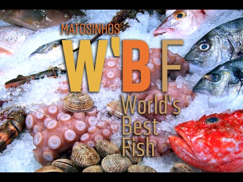 Vídeo World’s Best Fish