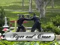Tiger &amp; Crane