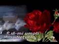 Cand plang tu simti