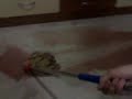 La maldición de la sangría que no quería ser bebida 1