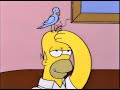 simpsons video