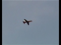 UF Hawk swansong