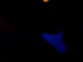 Organ Donors Clip from the 2007 Hard Dance Awards