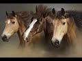 Click here to watch this video Kis Grofo 2012 mikor kicsi ......