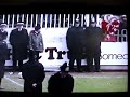 pompey-fans.html