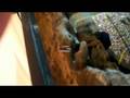 videos de DIY moonlight DIY background (a better look).wmv