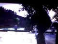 EA Skate: Darkslide glitch(better quality,extremly rare)