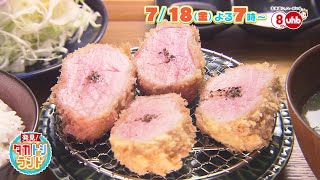 発見！タカトシランド