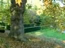 dartington aaah
