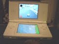 Hamsters playing the Nintendo Icon