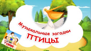 ПТИЦЫ 1. Музыкальные загадки