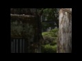 videos de Halo 3 1 shot 2 kills with a Sniper ( Team Doubles )