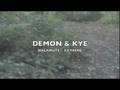 videos de DEMON & KYE RUNNING IN HARNESS alaskan malamutes