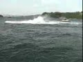Annoyed Whale Capsizes Boat Killing a Man