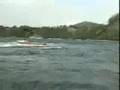 annoyed whale capsizes boat killing a man