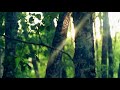 Video Sophia - The Drifter (Radio Edit) Video Sophia - The Drifter (Radio Edit)