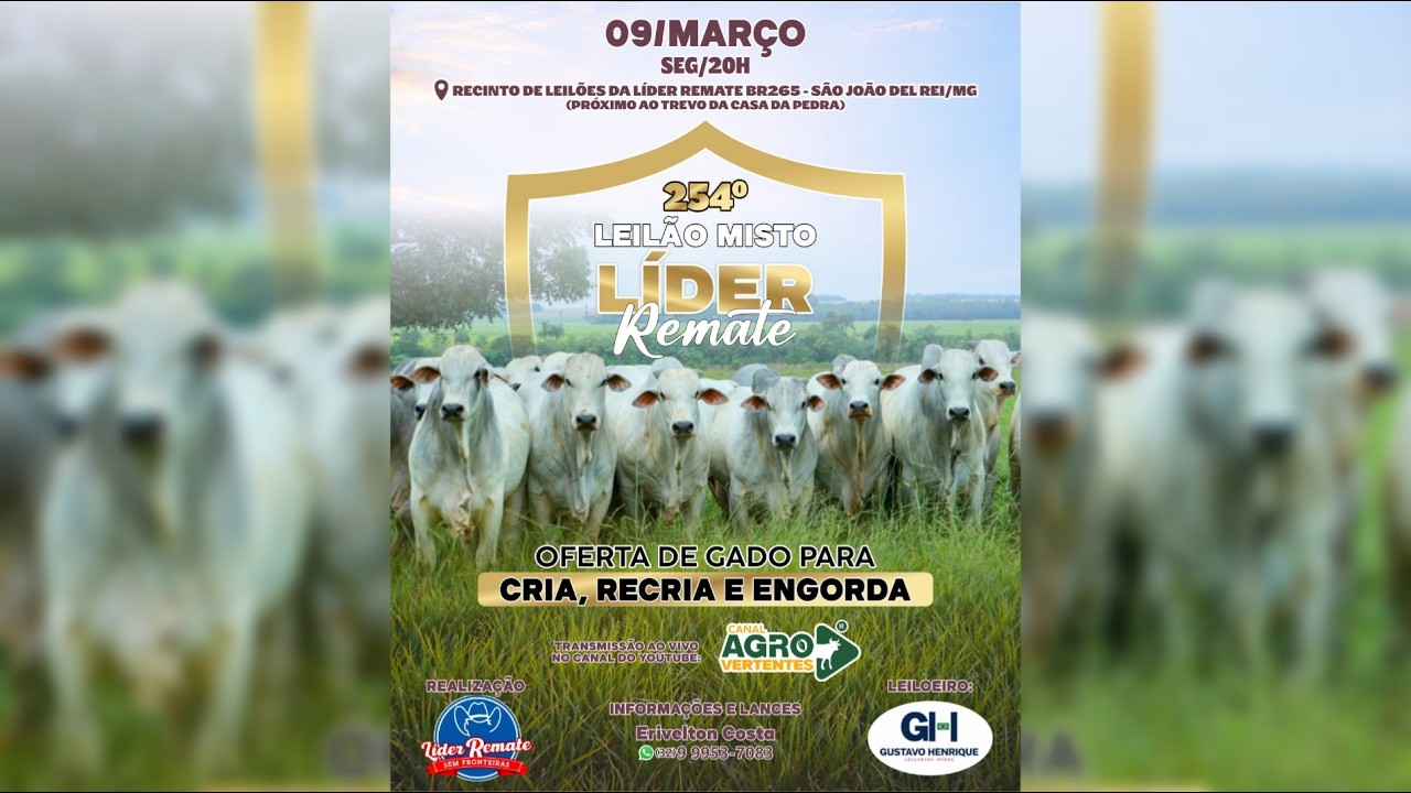 254º LEILÃO MISTO LÍDER REMATE - SÃO JOÃO DEL REI/MG - 09/03/2026