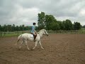 Young Lady Riding Horse | Nepean Park