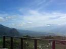 mountain full of day-lily