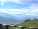 mountain full of day-lily