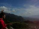 mountain full of day-lily