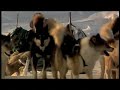 Traveling to Greenland
