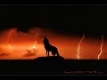 Wolves The Wishmasters