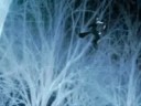 Final Fantasty XII Advent Children Trailer Final Fantasty XII Advent Children Trailer