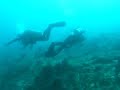 Drift Diving at Puerto Galera Drift Diving at Puerto Galera
