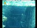 scuba diving    amazing shipwreck!