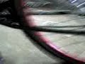 Anti moolas ('y