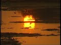 SUNSET AT CHANDRABHAGA,KONARK,ORISSA,INDIA.